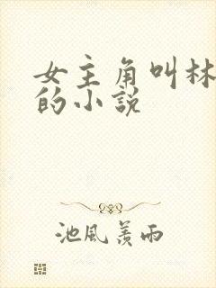 女主角叫林若雪的小说封面