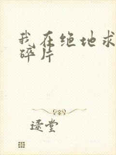 我在绝地求生捡碎片封面