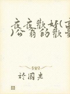 夜夜欢好(高h)公翁的欢爱