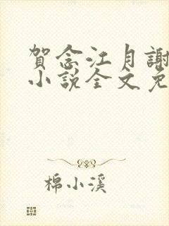 贺念江月谢泊年小说全文免费阅读笔趣阁