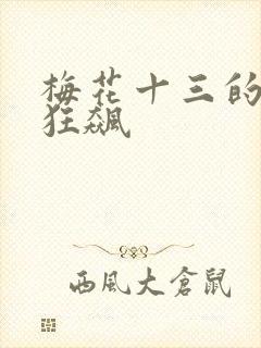 梅花十三的乳液狂飙