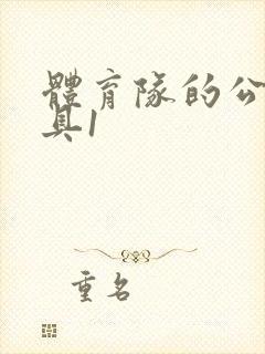 体育队的公用玩具1