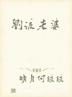 刘流老婆封面