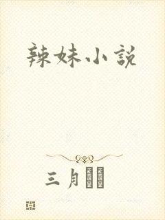 辣妹小说