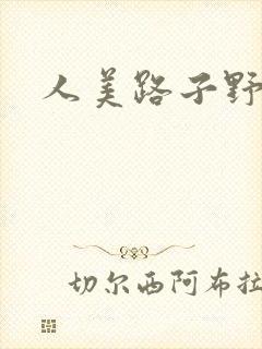 人美路子野封面