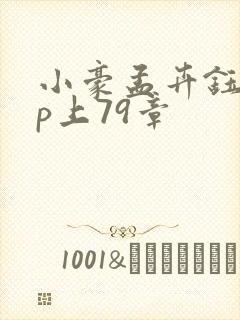 小豪孟卉钰慧三p上79章