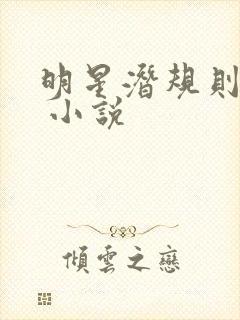 明星潜规则之皇 小说