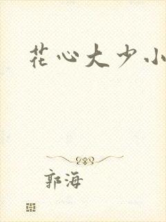 花心大少小说