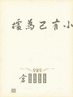 据为己有小说封面