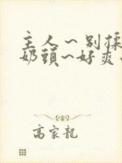 主人～别揉了～奶头~好爽小说封面