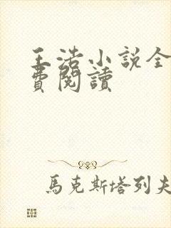 王浩小说全文免费阅读