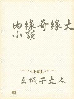 内缘奇缘大团圆小说