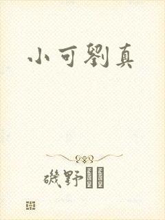 小可刘真封面