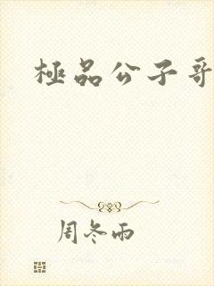 极品公子哥封面