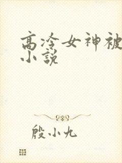 高冷女神被调教小说