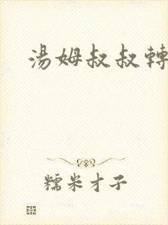 汤姆叔叔转接口