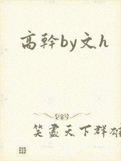 高干by文h