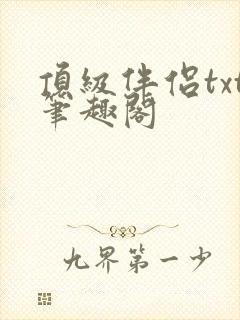 顶级伴侣txt笔趣阁