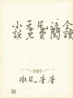 小天风流全集小说免费阅读