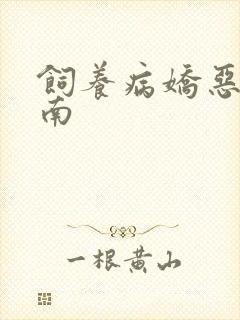 饲养病娇恶龙指南