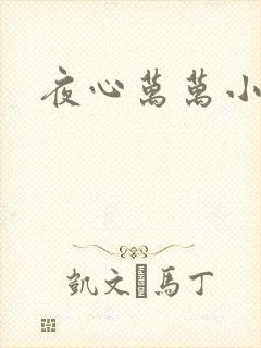 夜心万万小说