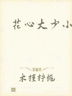 花心大少小说