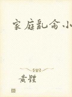 家庭乱仑小说封面