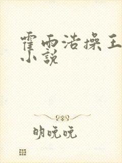 霍雨浩操王冬儿小说封面