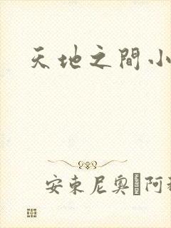 天地之间小说封面