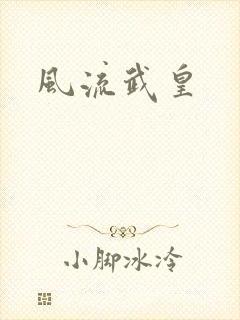 风流武皇封面