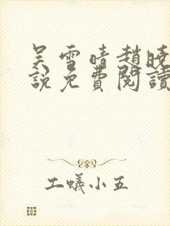 吴雪晴赵晓东小说免费阅读