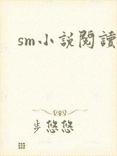 sm小说阅读封面