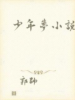 少年梦小说