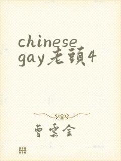 chinesegay老头4封面