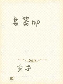 名器np