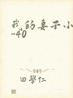 我的妻子小谨1-40