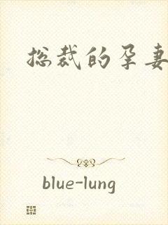 总裁的孕妻封面