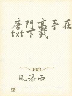 唐门高手在异世txt下载