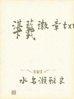 湛蓝徽章txt下载