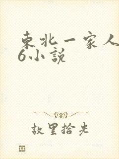东北一家人1一6小说封面