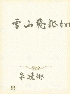 雪山飞狐txt