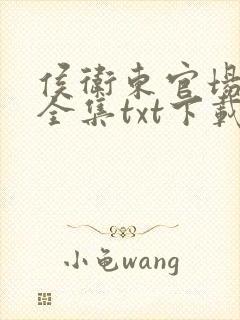 侯卫东官场笔记全集txt下载