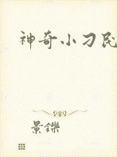 神奇小刁民封面