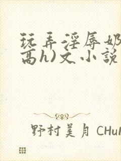 玩弄淫辱奶头(高h)文小说