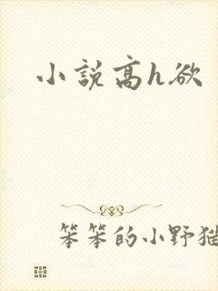 小说高h欲