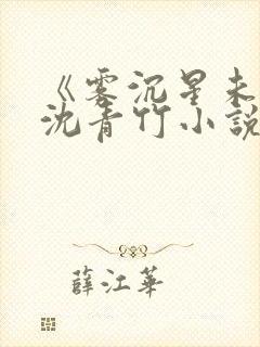 《雾沉星未眠》沈青竹小说笔趣阁封面