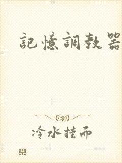 记忆调教器封面