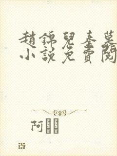 赵锦儿秦慕修的小说免费阅读全文