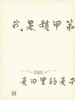 我是赵甲第小说封面