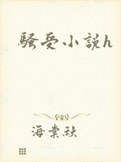 骚受小说h